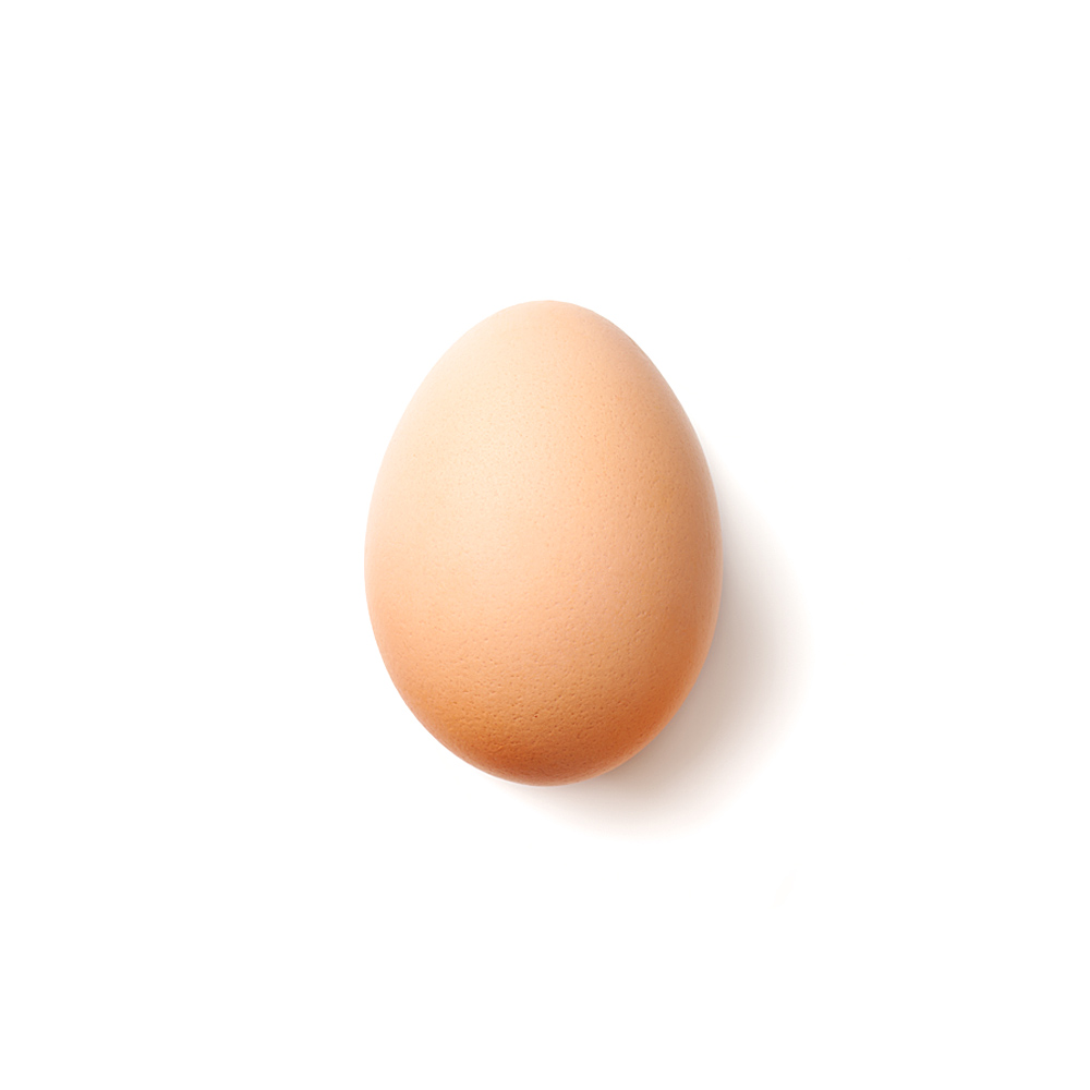 Egg